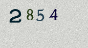 Visual Confirmation Security Code