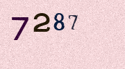 Visual Confirmation Security Code