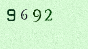 Visual Confirmation Security Code