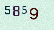 Visual Confirmation Security Code