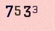 Visual Confirmation Security Code