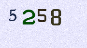 Visual Confirmation Security Code