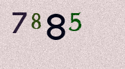 Visual Confirmation Security Code