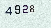 Visual Confirmation Security Code