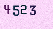 Visual Confirmation Security Code