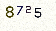 Visual Confirmation Security Code