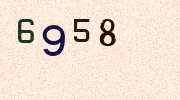 Visual Confirmation Security Code