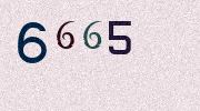 Visual Confirmation Security Code