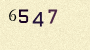 Visual Confirmation Security Code