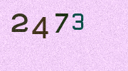 Visual Confirmation Security Code