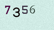 Visual Confirmation Security Code
