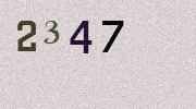 Visual Confirmation Security Code