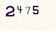 Visual Confirmation Security Code
