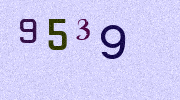 Visual Confirmation Security Code