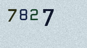 Visual Confirmation Security Code
