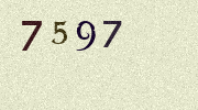 Visual Confirmation Security Code