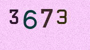 Visual Confirmation Security Code