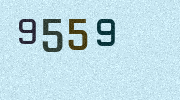 Visual Confirmation Security Code