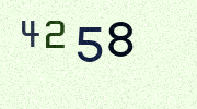 Visual Confirmation Security Code