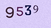 Visual Confirmation Security Code