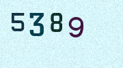 Visual Confirmation Security Code