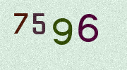 Visual Confirmation Security Code