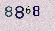 Visual Confirmation Security Code