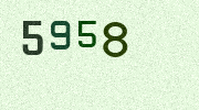 Visual Confirmation Security Code