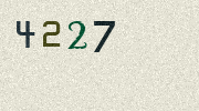 Visual Confirmation Security Code