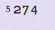 Visual Confirmation Security Code