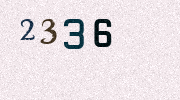 Visual Confirmation Security Code