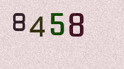 Visual Confirmation Security Code