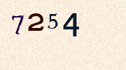 Visual Confirmation Security Code