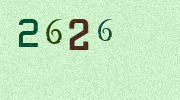 Visual Confirmation Security Code