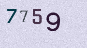 Visual Confirmation Security Code