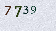 Visual Confirmation Security Code
