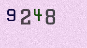 Visual Confirmation Security Code