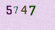 Visual Confirmation Security Code