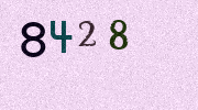 Visual Confirmation Security Code