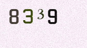 Visual Confirmation Security Code