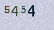 Visual Confirmation Security Code