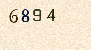 Visual Confirmation Security Code
