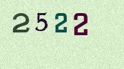 Visual Confirmation Security Code