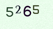 Visual Confirmation Security Code