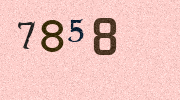 Visual Confirmation Security Code
