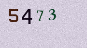 Visual Confirmation Security Code
