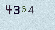 Visual Confirmation Security Code