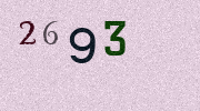 Visual Confirmation Security Code