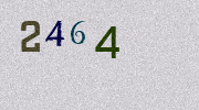 Visual Confirmation Security Code