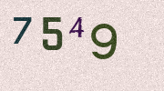 Visual Confirmation Security Code
